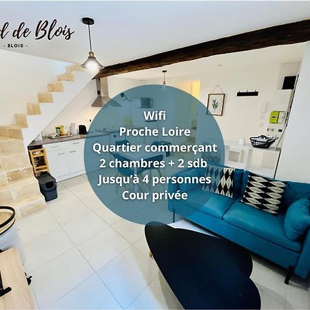 2 Suites, Cour Privee, Climatisation, Le Nid De Blois Vienne Esterno foto