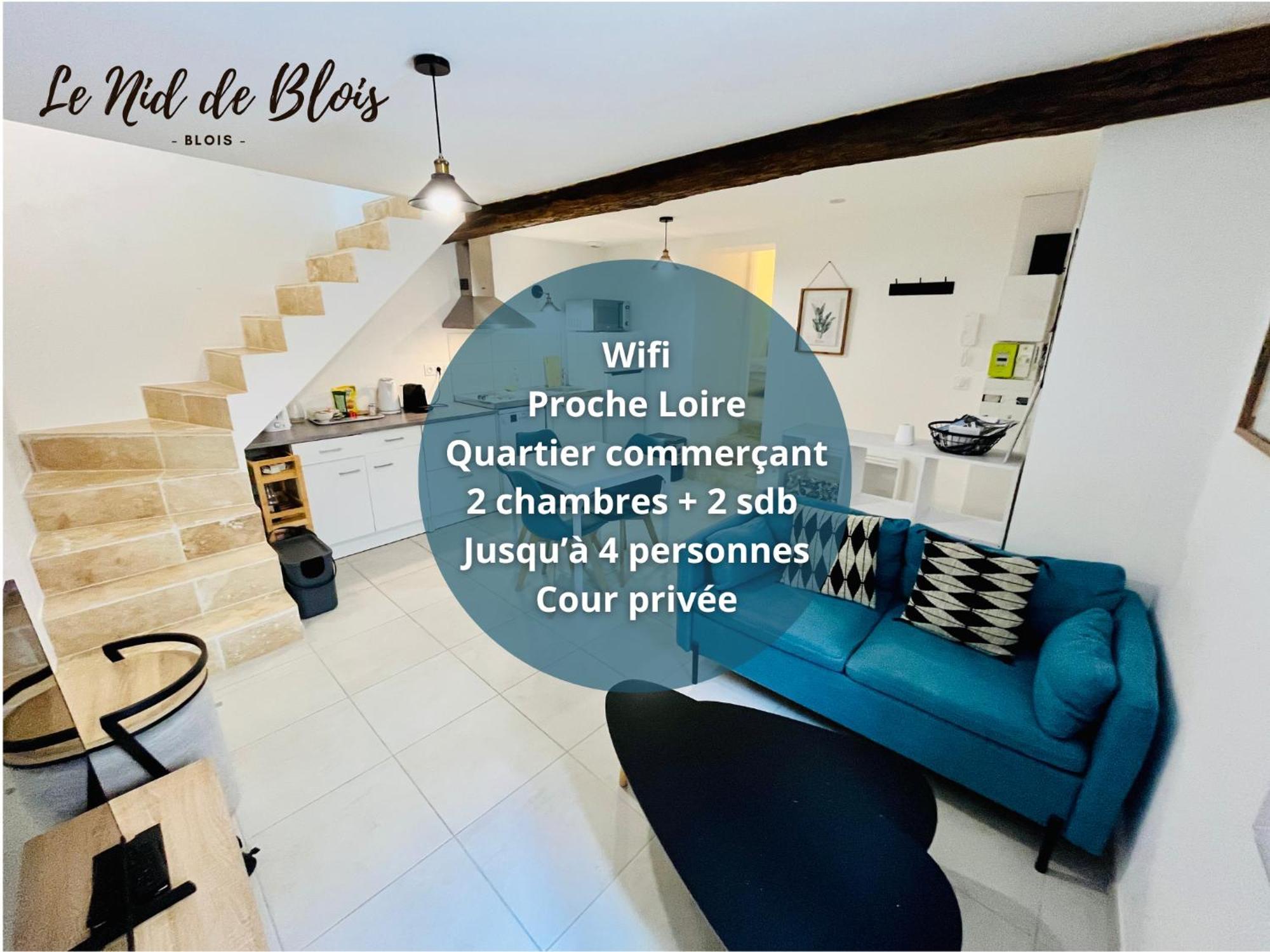 2 Suites, Cour Privee, Climatisation, Le Nid De Blois Vienne Esterno foto